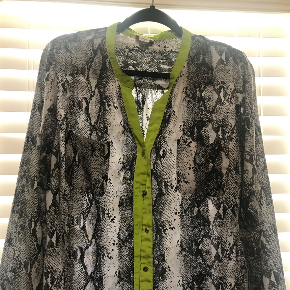 Sheer Snake Print blouse